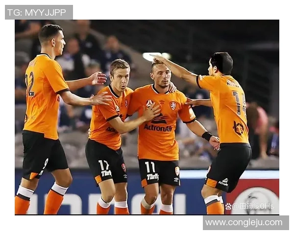 2016年1月22日布里斯班对阵阿德莱德联精彩赛事回顾与分析