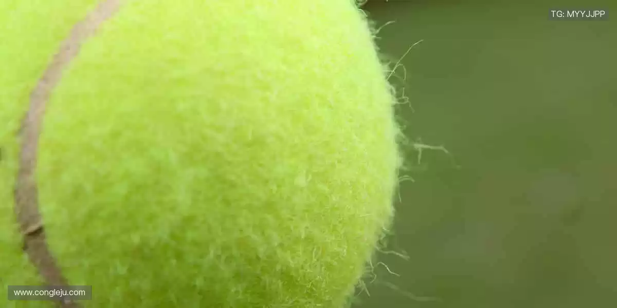 🎯专业装备，点燃你的运动激情！